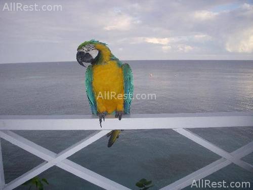 Sans Souci Hotel & Spa 34